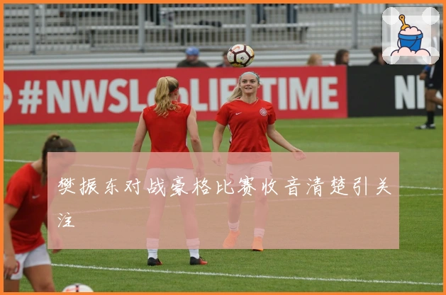 樊振东对战豪格比赛收音清楚引关注