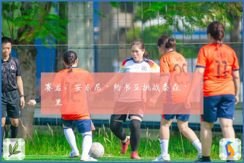 赛后，安东尼·约书亚挑战泰森·富里