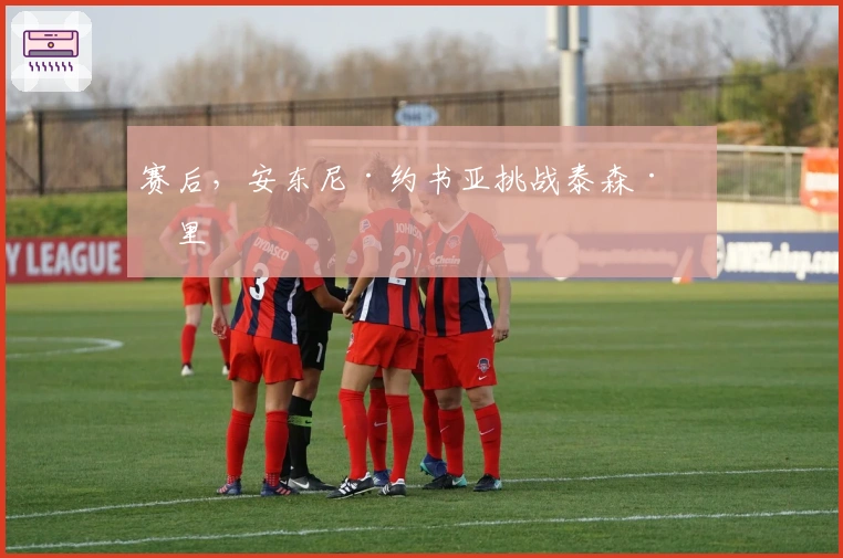 赛后，安东尼·约书亚挑战泰森·富里