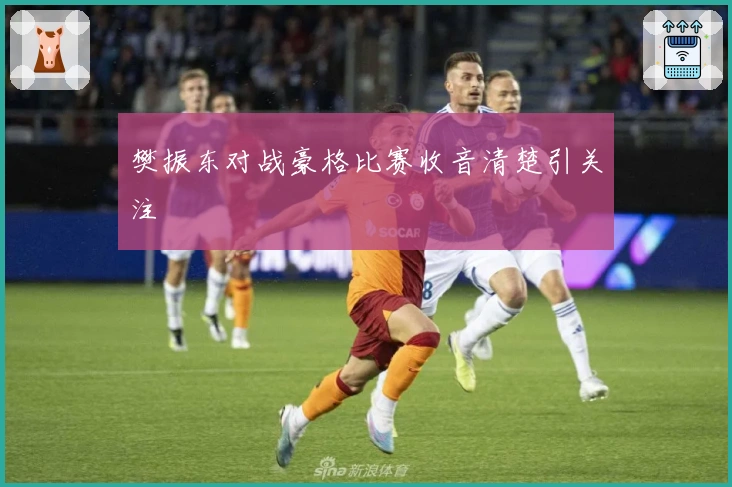 樊振东对战豪格比赛收音清楚引关注